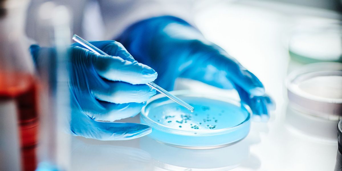 Pharmaceutical QC microbiology laboratory testing for sterile injectable manufacturing