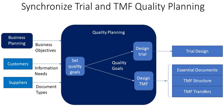 Clinical research professional managing Trial Master File (TMF) documents in pharmaceutical office